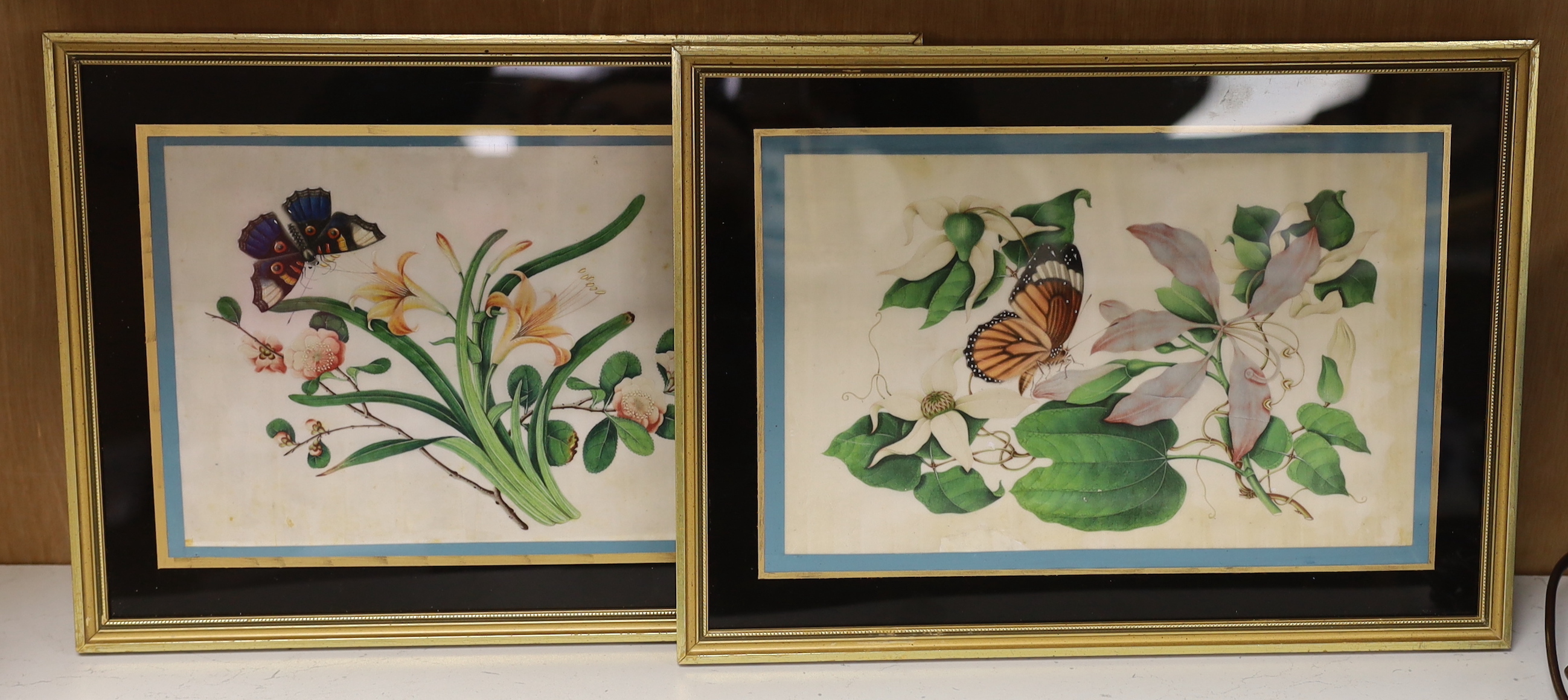 19th century Chinese school, pair of pith paper paintings, Still lifes of flowers, 16.5 x 25cm